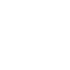 Google Icon